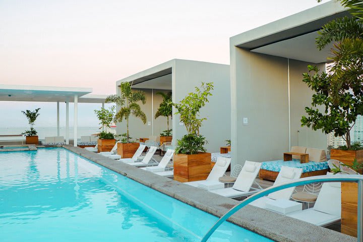 Sun loungers next to the pool