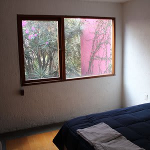 Casa Frida Coyoacan