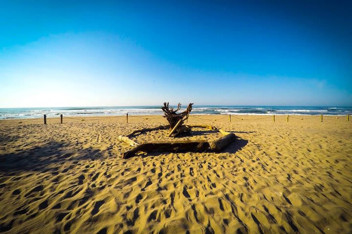 Se ofrece servicio de masajes en la playa