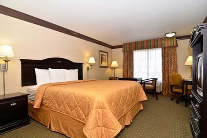 The Comfort Inn & Suites Near Universal Studios has 60 guest rooms and suites