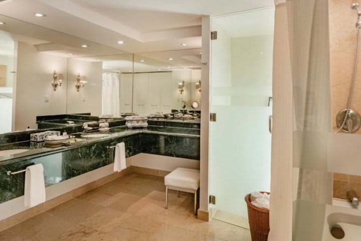 Private guest bathroom