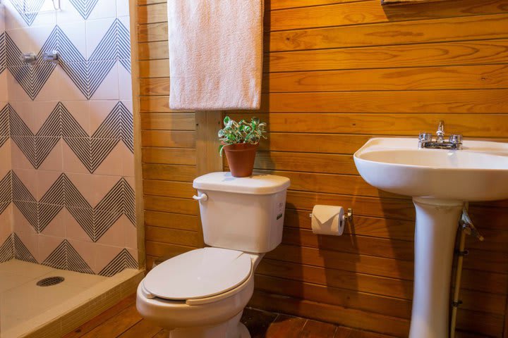 Interior of a private guest bathroom