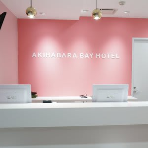 Akihabara BAY HOTEL - Caters to Women