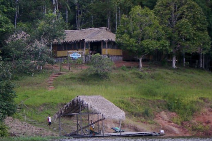 En el Dolphin Lodge puedes admirar la naturaleza