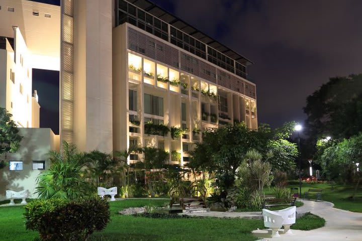 Jardín por la noche