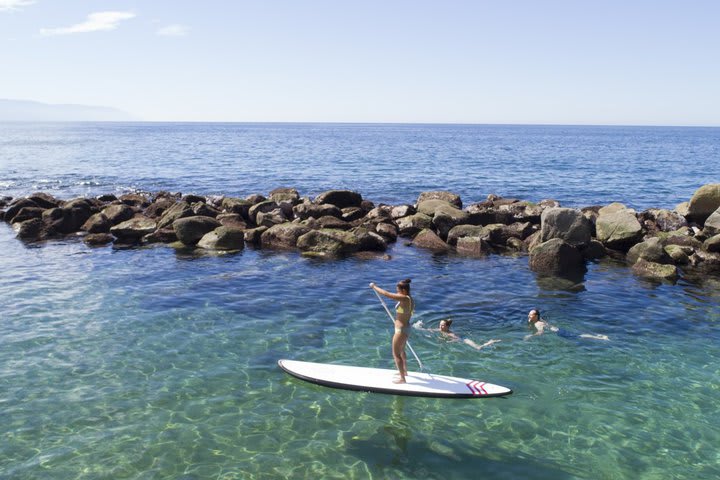 Paddle board