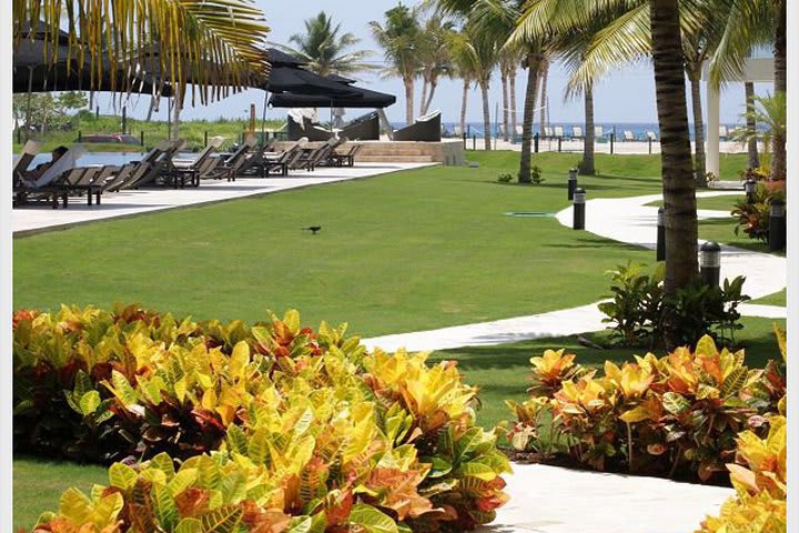 Garden surrounding the pool