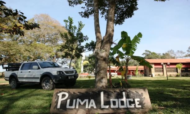 Puma Lodge