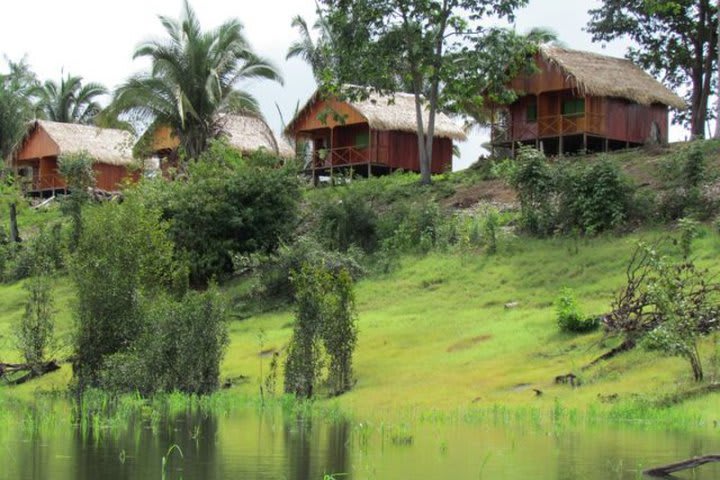 Amazon Turtle Lodge