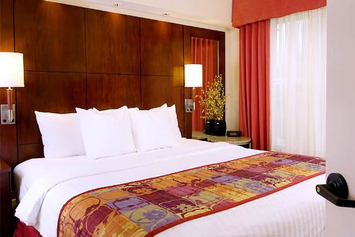 Estudio king del hotel Residence Inn by Marriott Airport en Orlando