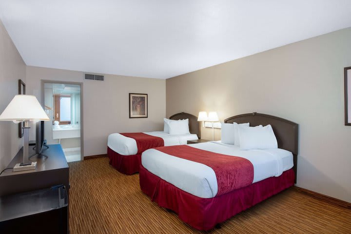 Img - Habitación, 2 camas de matrimonio, no fumadores (Pet-Friendly)