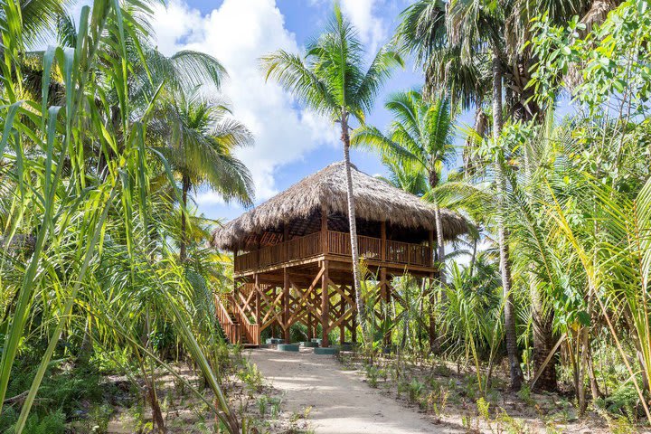 Hotel surrounded by nature