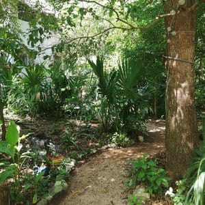 Mayan Bungalow Near Chichén Itza