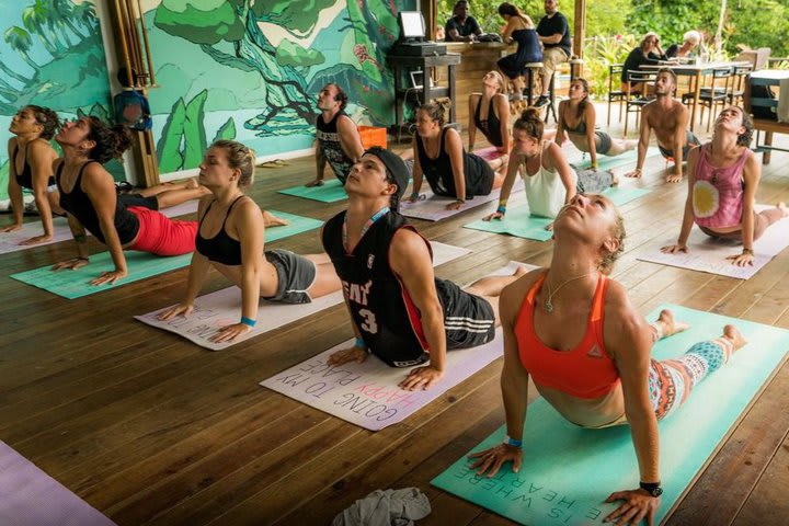 Hay una terraza para hacer yoga