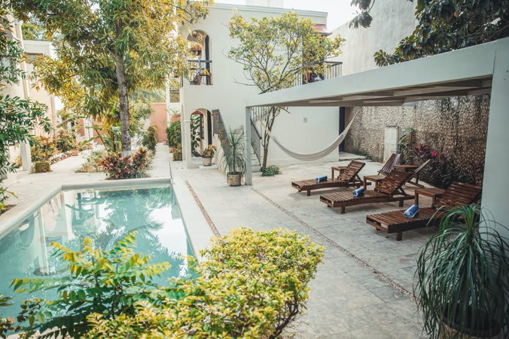 Sun loungers by the pool