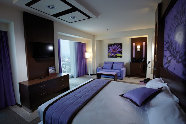 Img - Ejecutiva king