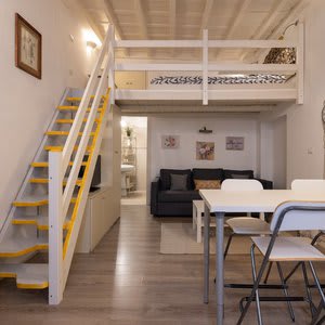 [close to San Pietro and Castel S. Angelo] Loft Gianicolo