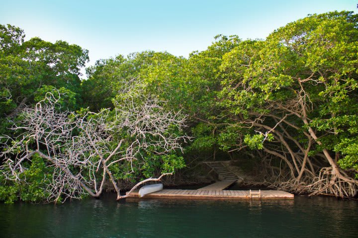 Facilities are surrounded by the jungle