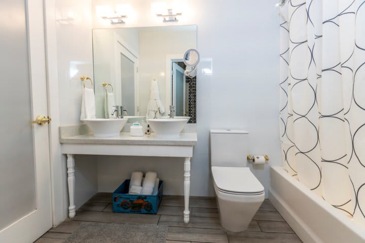 Guest bathroom with shower and tub