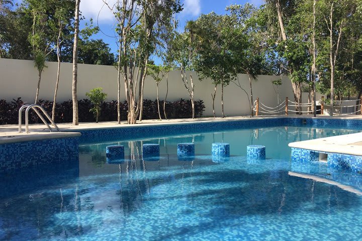 Piscina para adultos y chapoteadero