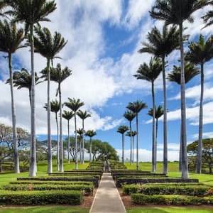 Mauna Kea Residences