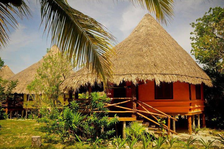 En Isla Holbox se puede nadar con tiburones ballena