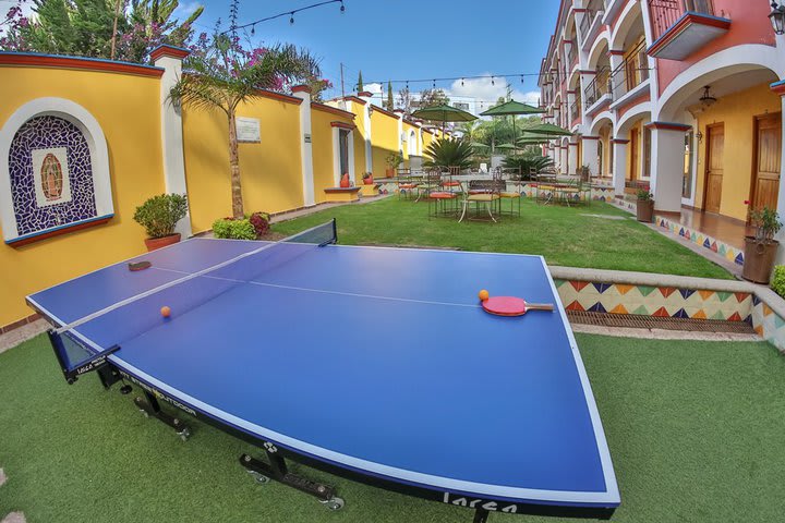 Ping pong en el jardín