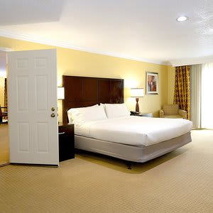 Holiday Inn Hotel & Suites San Mateo-San Francisco SFO, an IHG Hotel