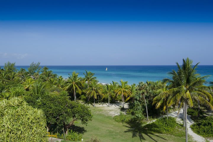 Panoramic view of the garden and the sea