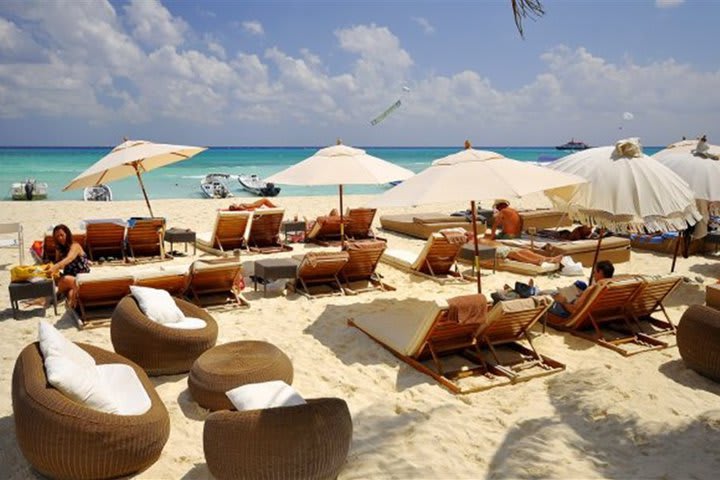 The beach club has sun loungers and shades