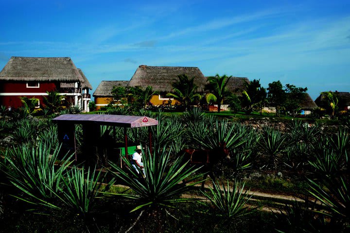 Hacienda Sotuta de Peón