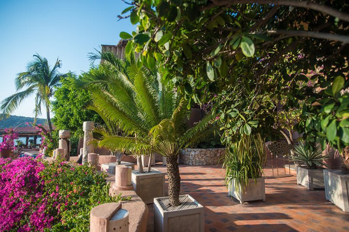 Terraza principal del hotel