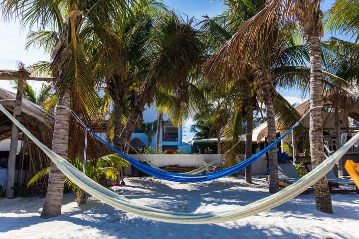 Hammocks