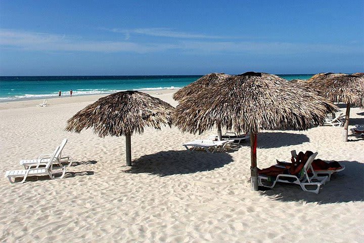 Palapas on the beach