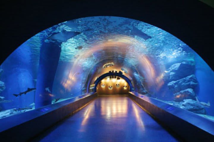 Aquarium with 350 marine species at the Shinagawa Prince Hotel