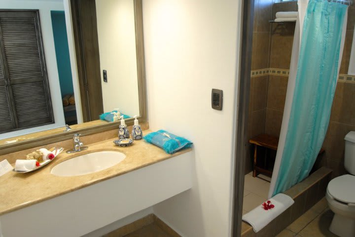 Private guest bathroom