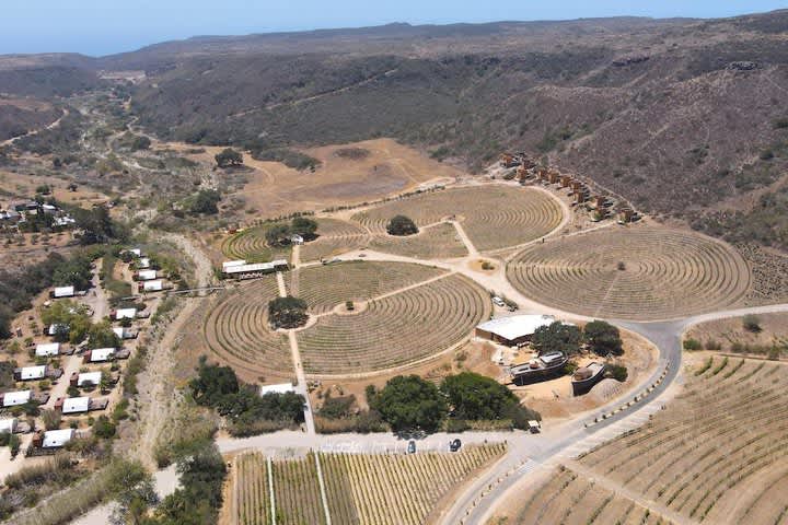 TiquetesBaratos - Viaja fácil, sin pretextos