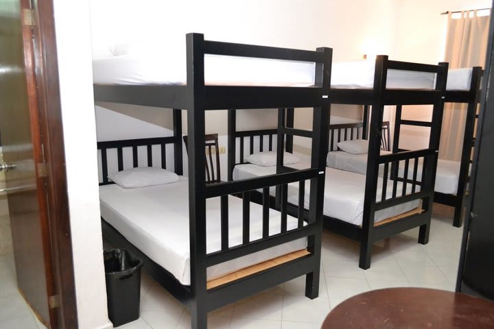 Bed In Dormitory Standard