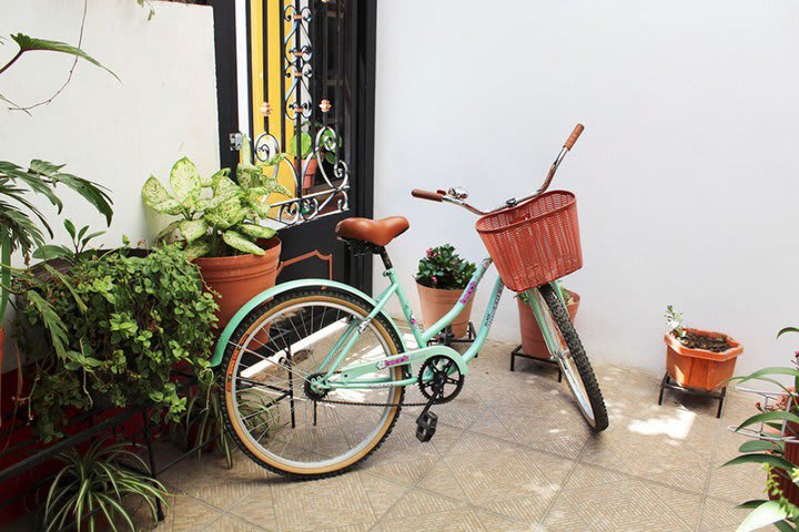 The hotel offers bikes