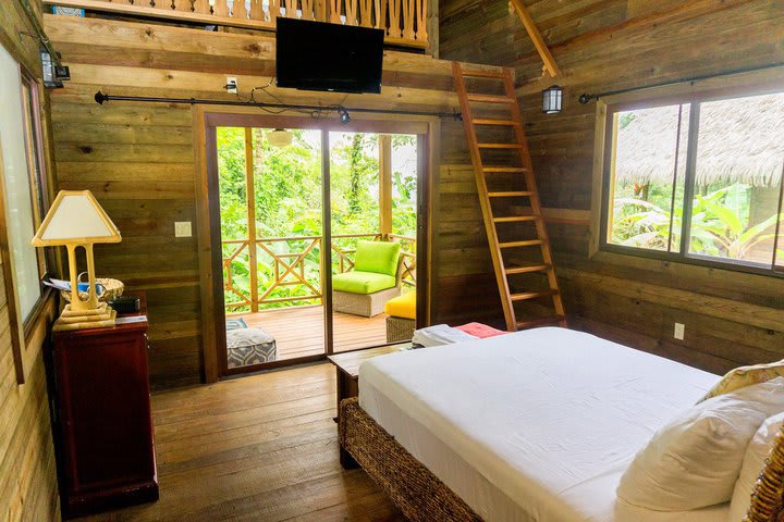 Jungle Lodge, 1 Bedroom