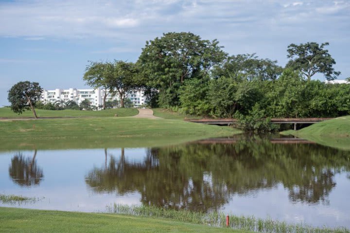 Houses in a condo with golf course