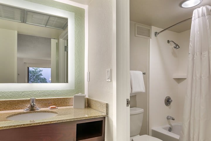 Guest bathroom