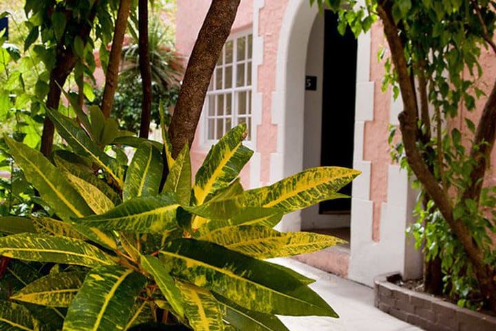 Gardens at The Clay hotel in Miami Beach