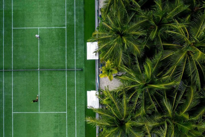 Canchas de tenis