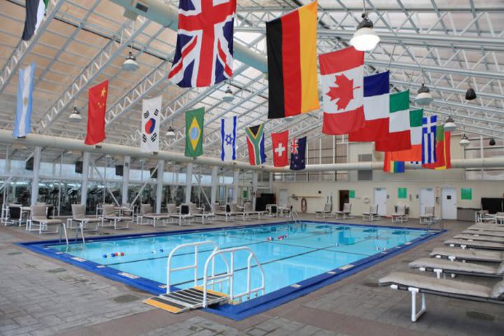 Pool at the Chicago's Essex Inn