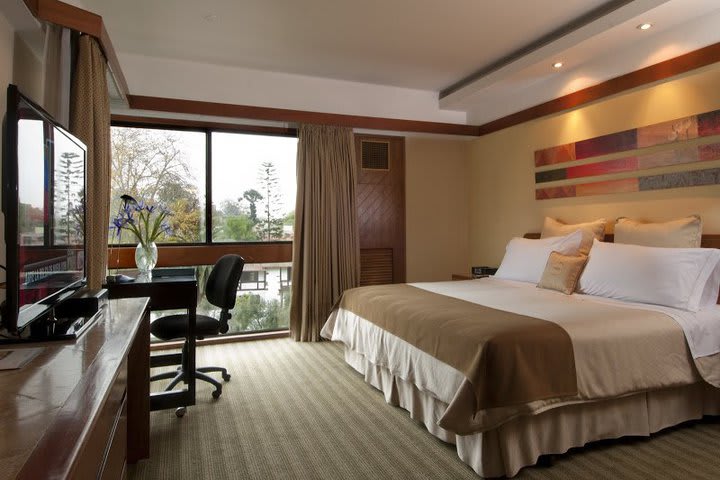 Suite, 1 King Bed