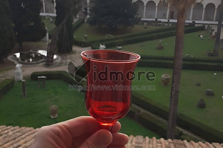 Panoramic Room (Michelangelo Cloister View)