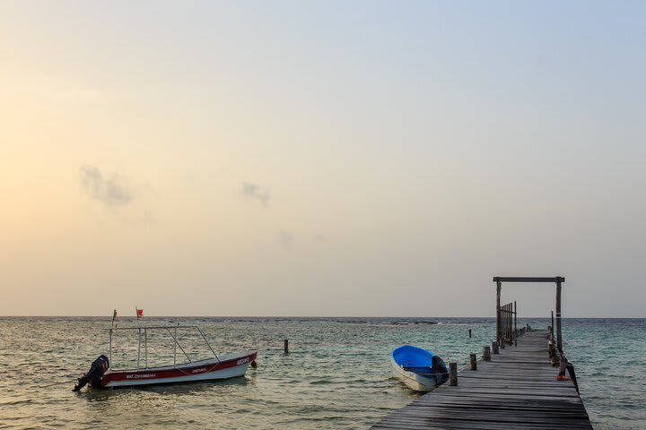 View of the beach