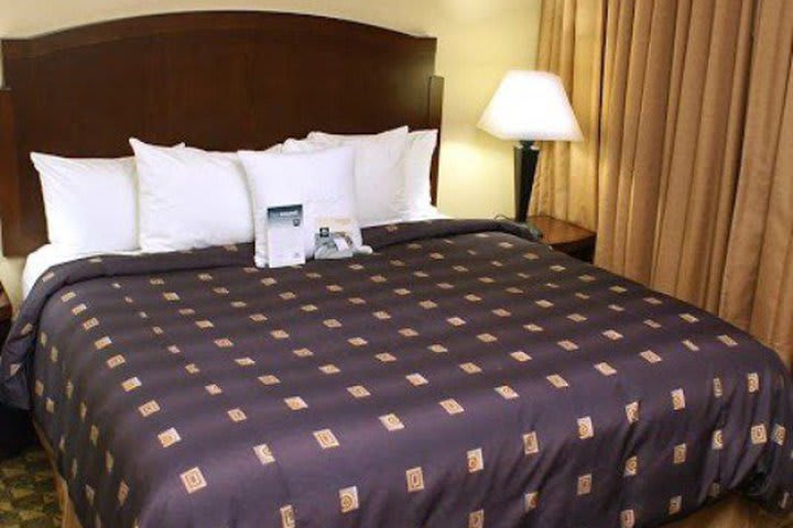 Suite with one bed at the Homewood Suites by Hilton Henderson South Las Vegas