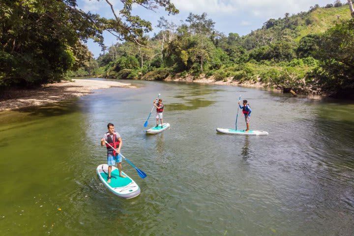 Se ofrece paddle surf por el río